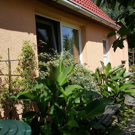 Uns Luett Hus Villa Krakow am See Eksteriør billede